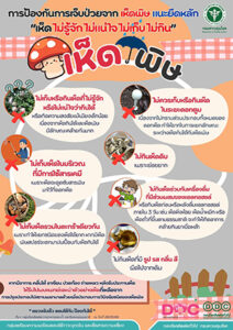 ประชาสัมพันธ์ การป้องกันการเจ็บป่วยจาก เห็ดพิษ แนะยึดหลัก “เห็ด ไม่รู้จัก ไม่แน่ใจ ไม่เก็บ ไม่กิน”
